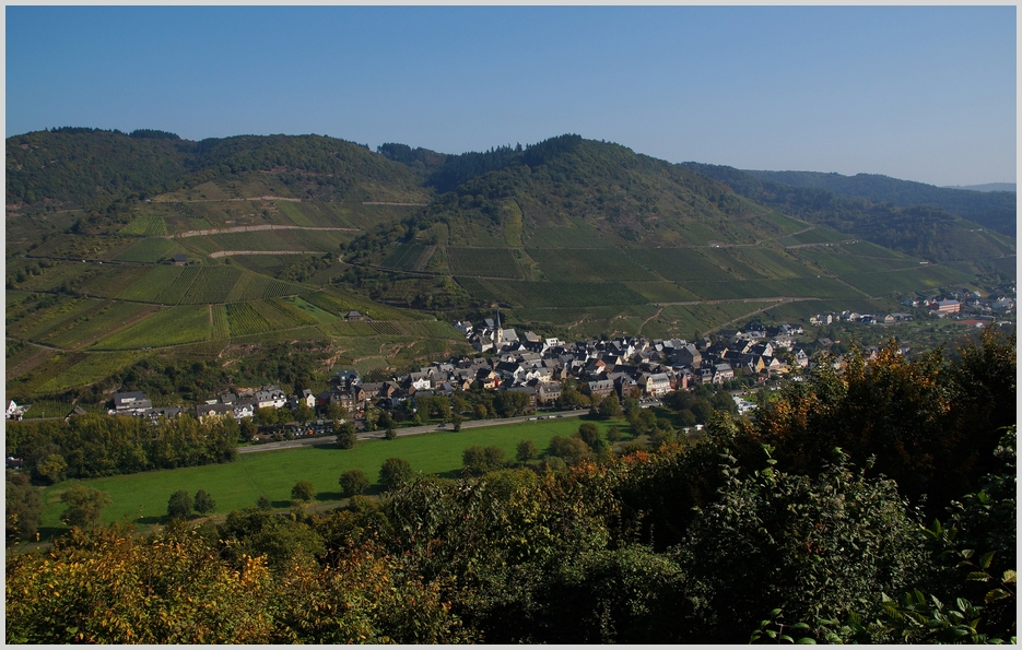 Blick auf Eller ( Mosel )