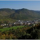 Blick auf Eller ( Mosel )