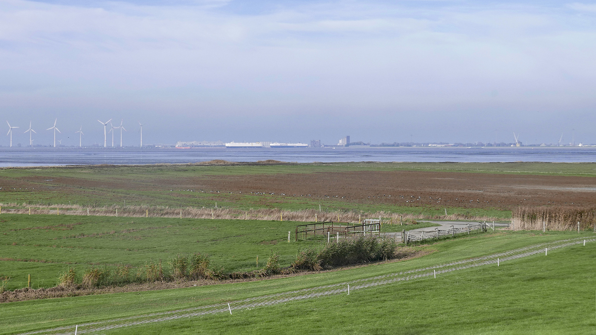 Blick auf Emden-Aussenhafen vom Dollartdeich aus gesehen südlich von Pogum (Rheiderland)