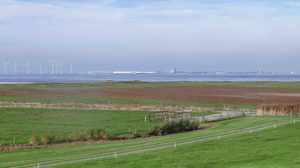 Blick auf Emden-Aussenhafen vom Dollartdeich aus gesehen südlich von Pogum (Rheiderland)