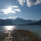 Blick auf Erlakogel und Traunkirchen...