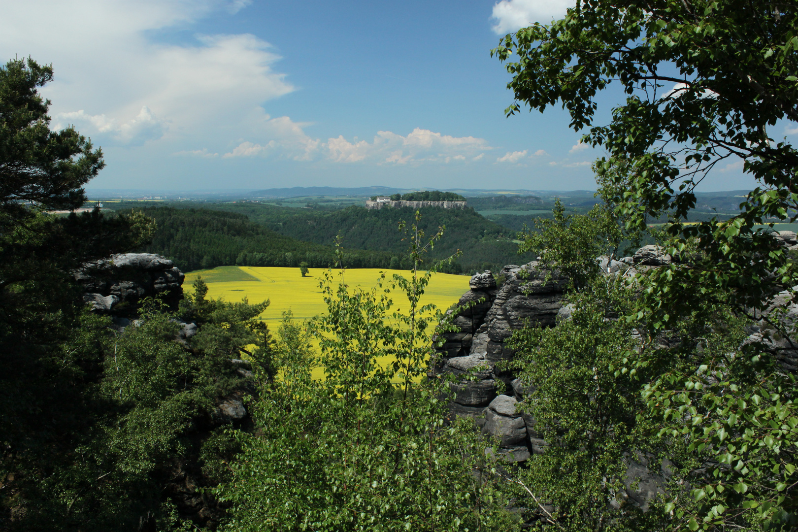 Blick auf Festung Königsstein