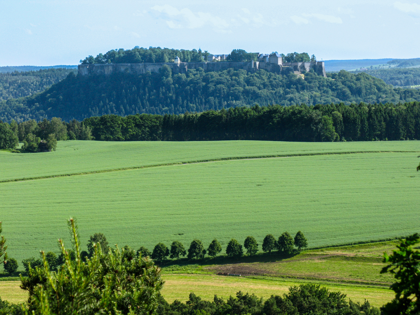 Blick auf Festung Königstein vom Malerweg 