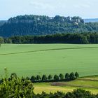 Blick auf Festung Königstein vom Malerweg 