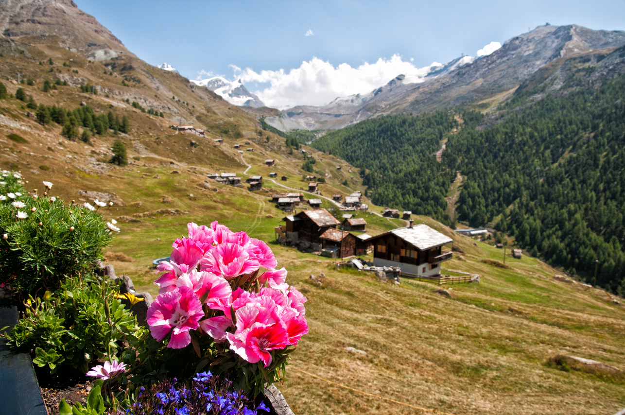 Blick auf Findeln/Zermatt - Schweiz