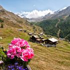 Blick auf Findeln/Zermatt - Schweiz