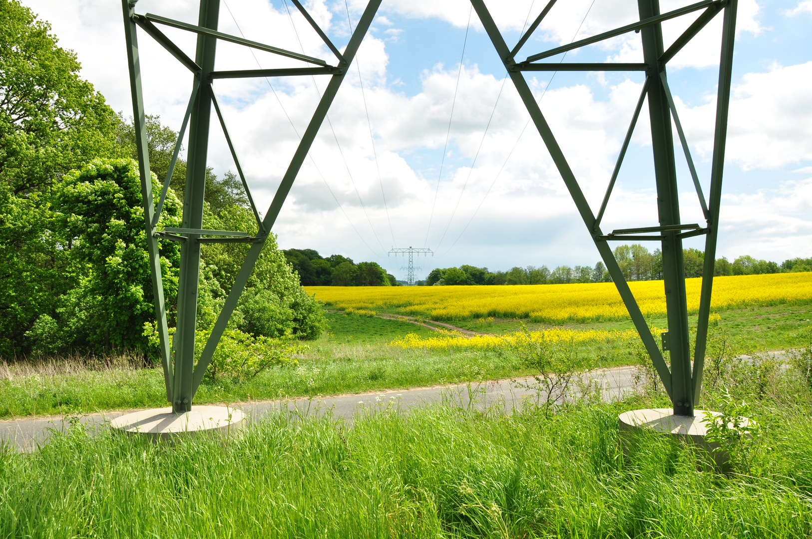 Blick auf Fischadlerhorst