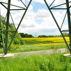 Blick auf Fischadlerhorst