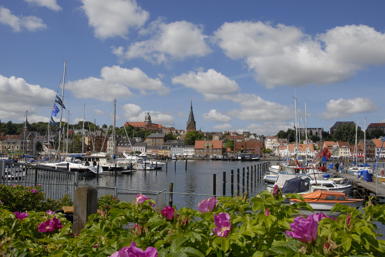 Blick auf Flensburg 