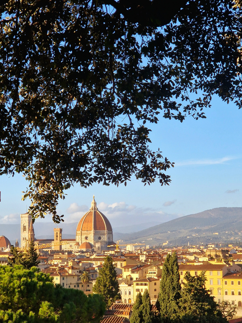 Blick auf Florence 