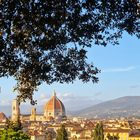 Blick auf Florence 