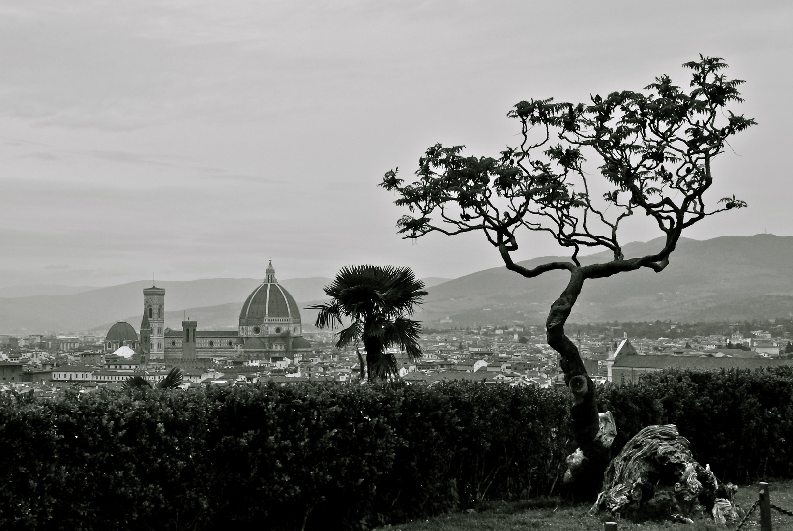 Blick auf Florenz