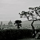 Blick auf Florenz