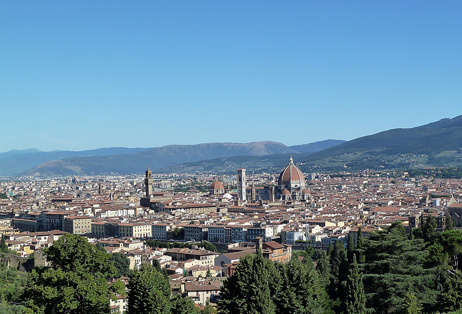 Blick auf Florenz