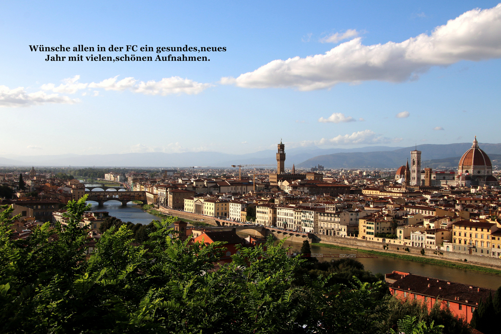 Blick auf Florenz