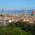 Blick auf Florenz