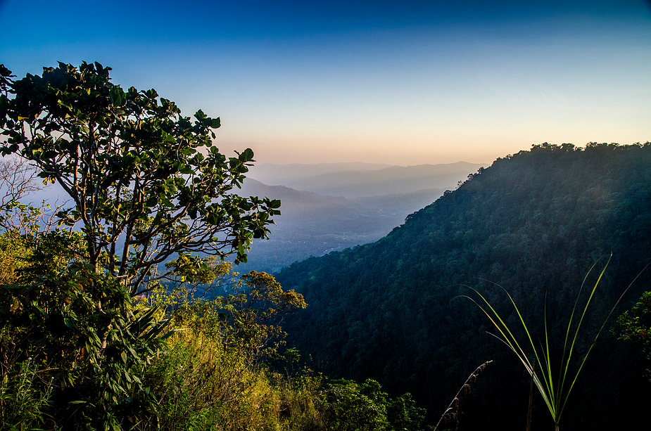 Blick auf Flores (2)