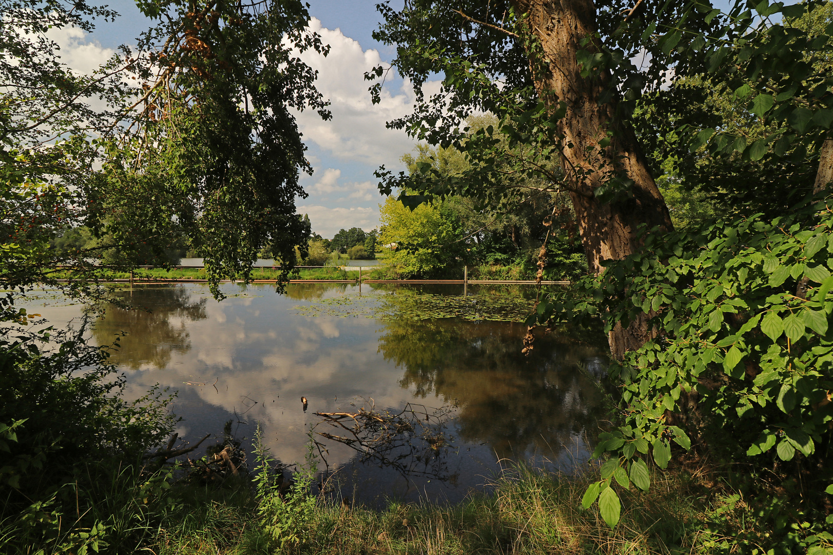 Blick auf Fluss und See