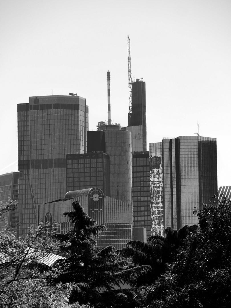 Blick auf Frankfurt am Main