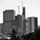 Blick auf Frankfurt am Main