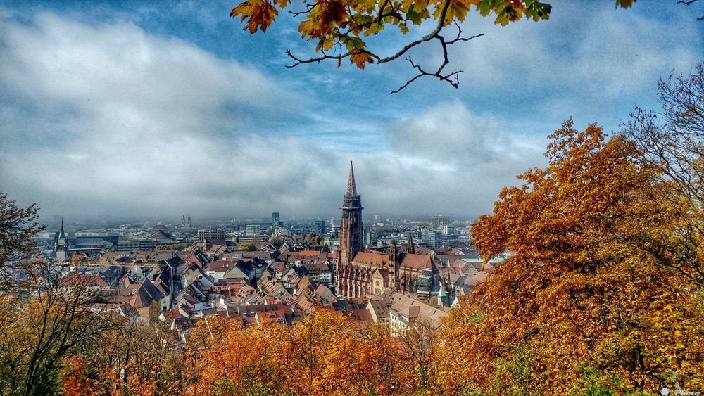 Blick auf Freiburg