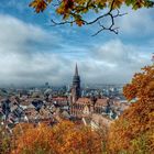 Blick auf Freiburg