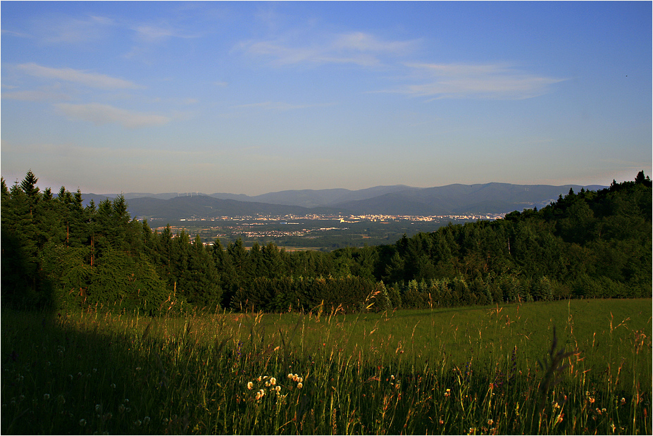 blick auf freiburg