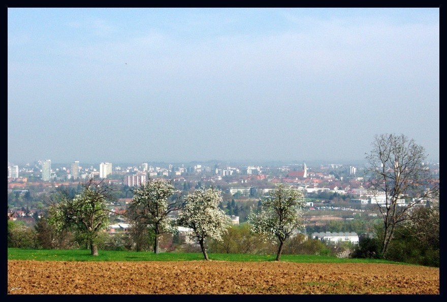 Blick auf Freiburg bei super schönem Wetter