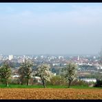 Blick auf Freiburg bei super schönem Wetter