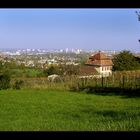 Blick auf Freiburg