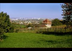 Blick auf Freiburg