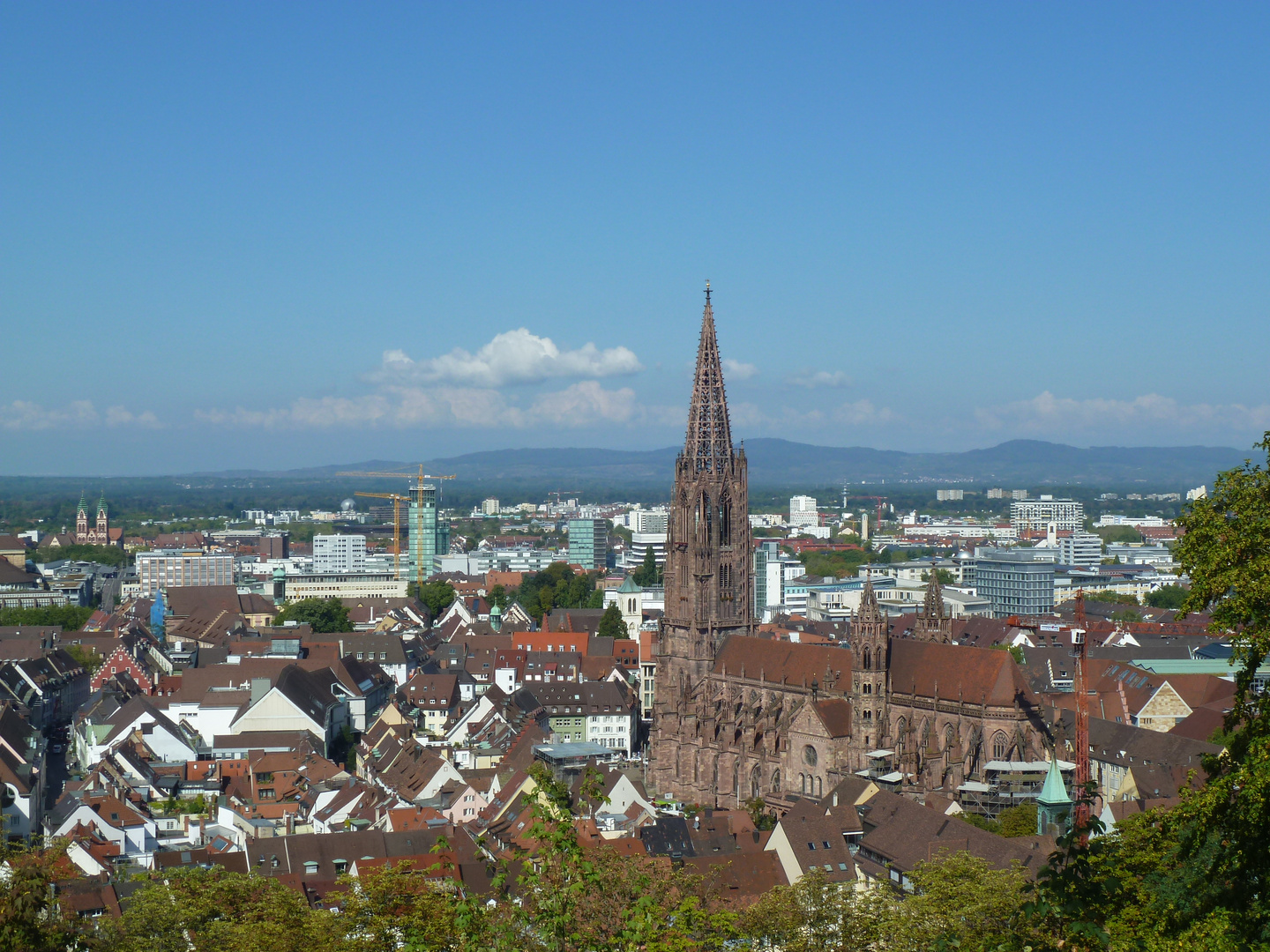 Blick auf Freiburg....