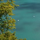 Blick auf Freizeitsportler auf dem Vierwaldstättersee