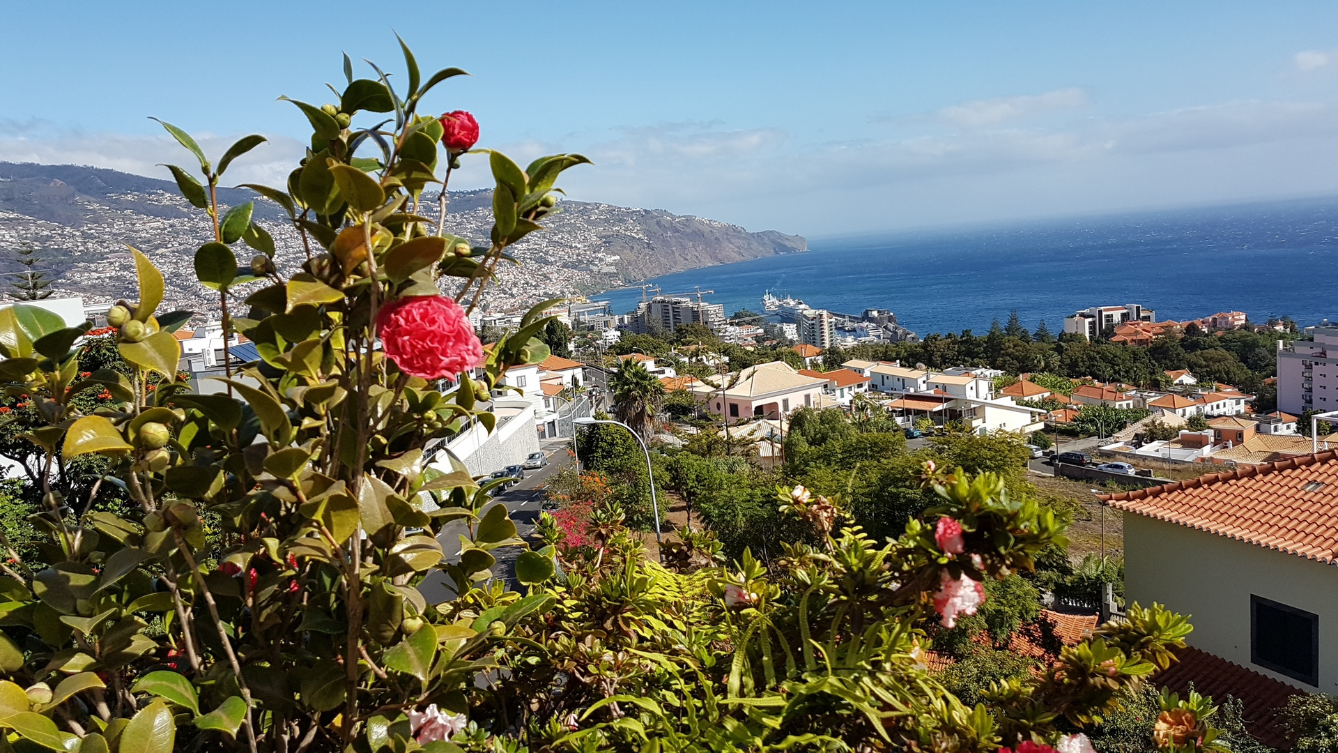 Blick auf Funchal