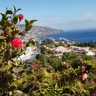 Blick auf Funchal