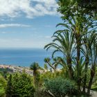 Blick auf Funchal (2)