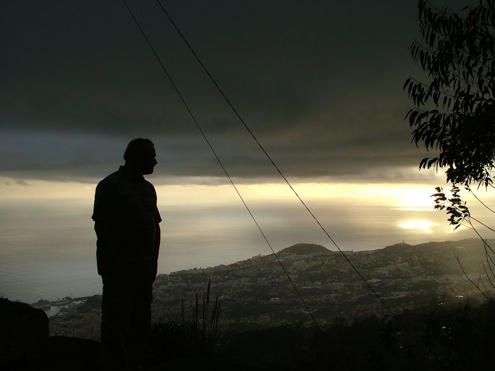 Blick auf Funchal by Roswitha H.