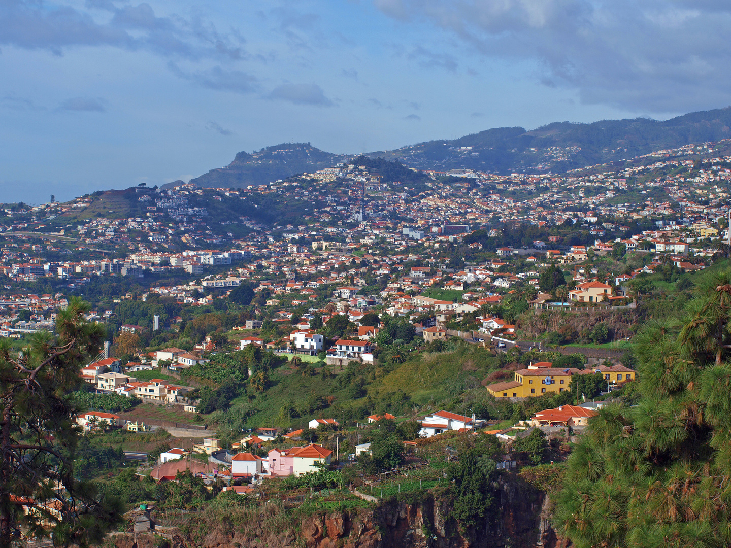 Blick auf Funchal