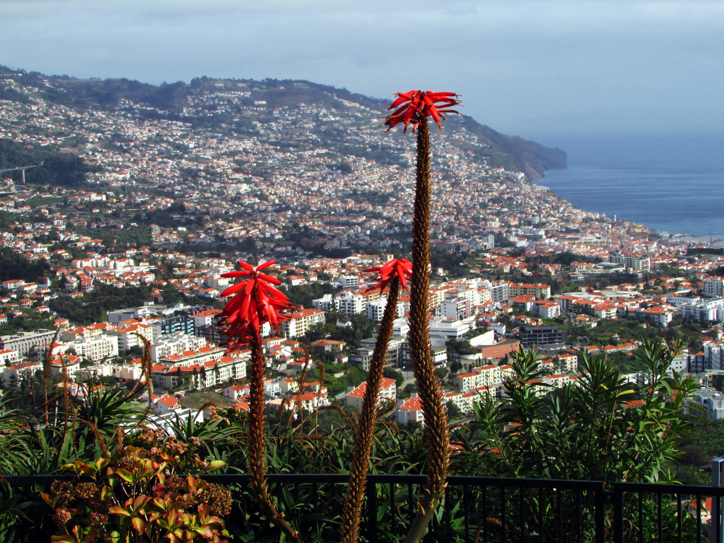 Blick auf Funchal