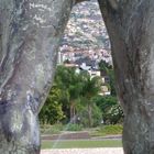 Blick auf Funchal