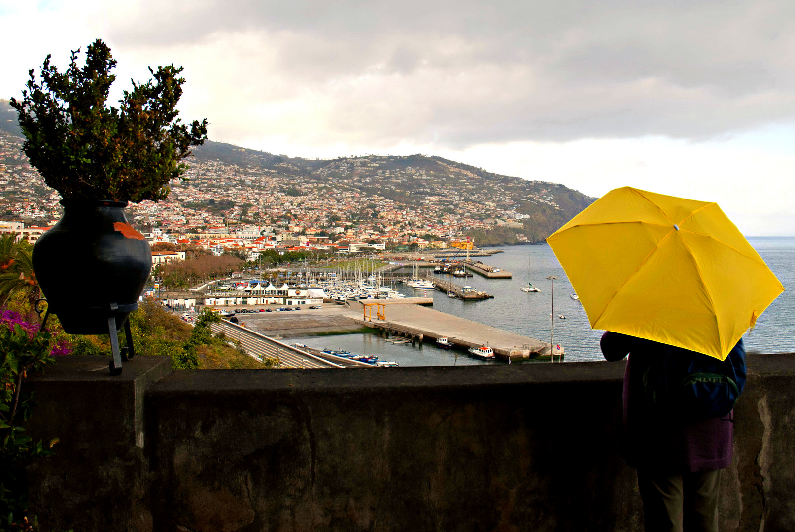 Blick auf Funchal