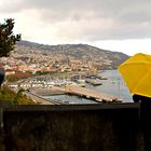 Blick auf Funchal