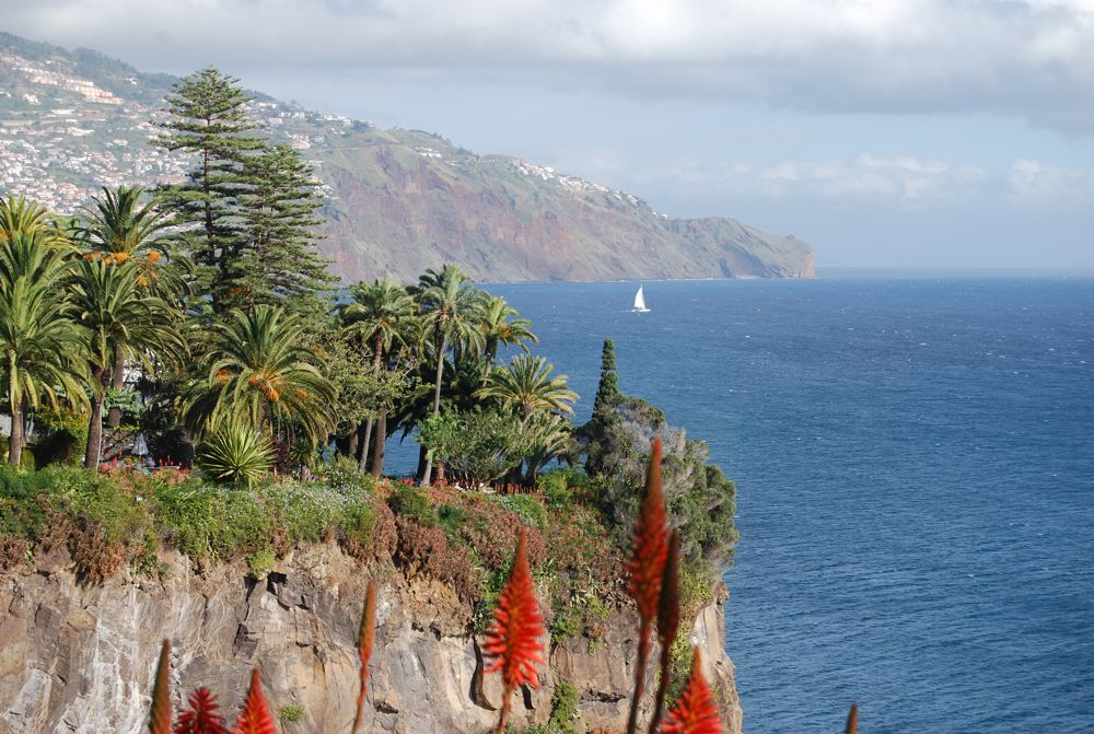 Blick auf Funchal ...