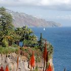 Blick auf Funchal ...