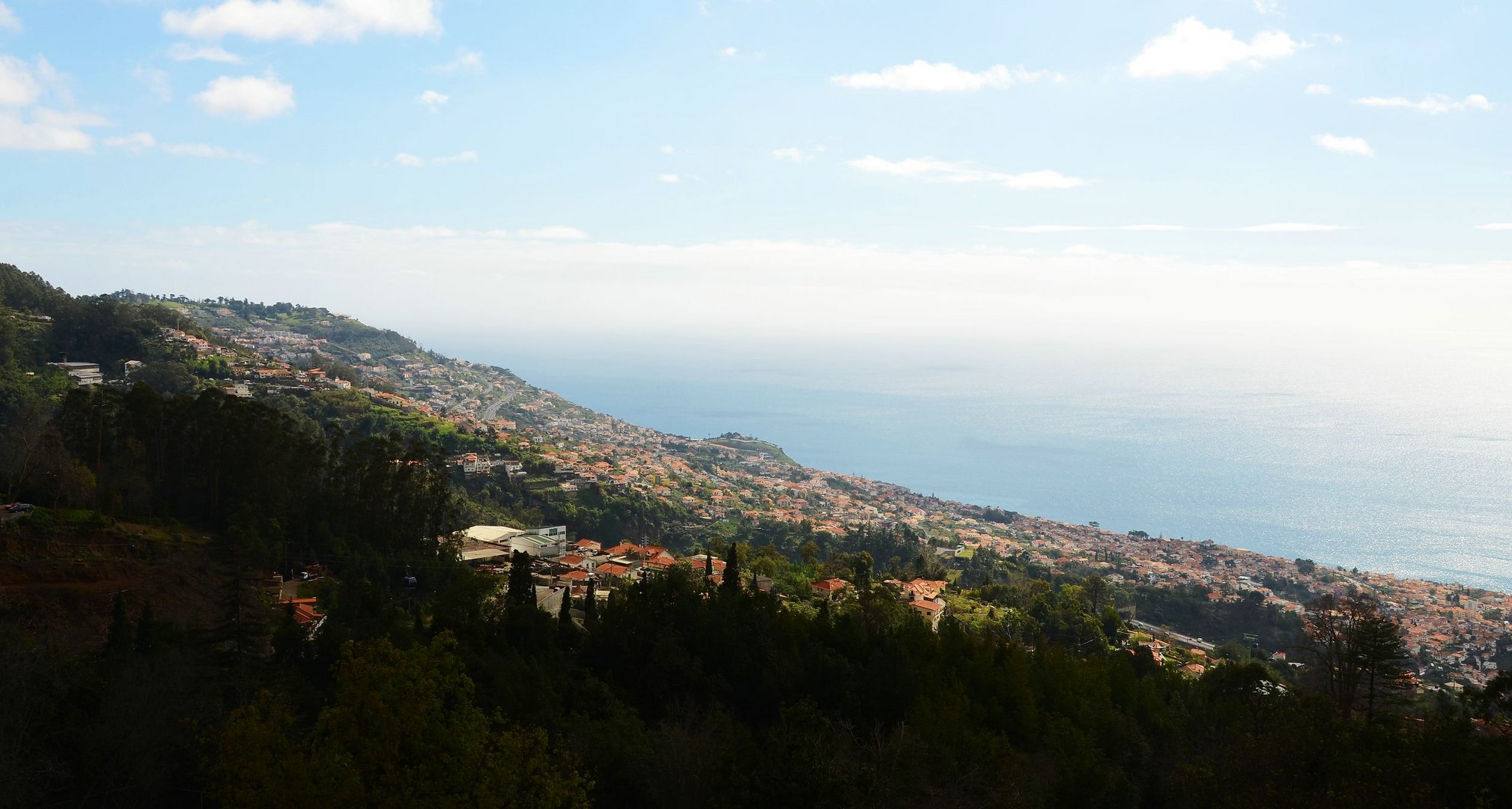 Blick auf Funchal (Madeira)