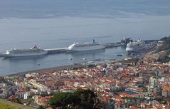 Blick auf Funchal mit Hafen