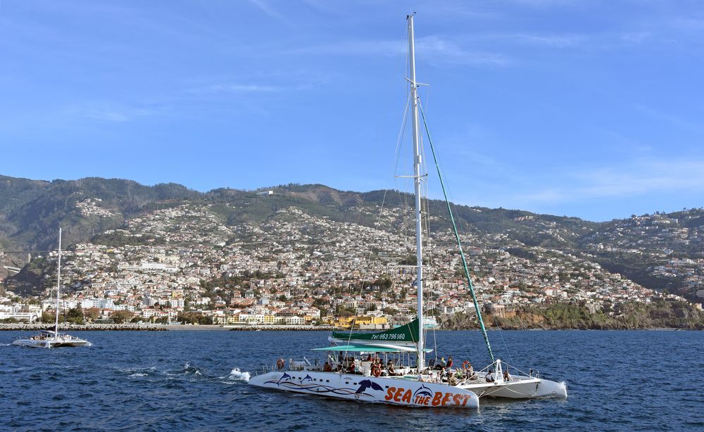 Blick auf Funchal von einer Segeltour