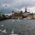 Blick auf Gamla Stan