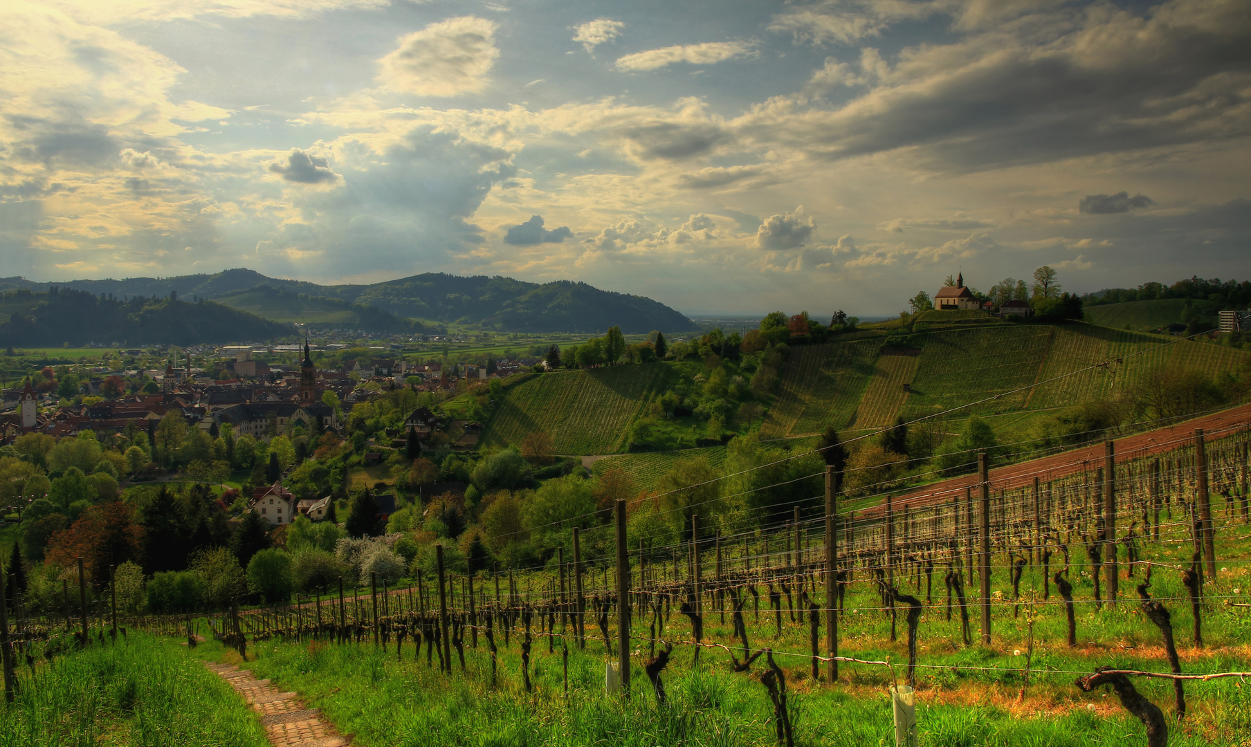 Blick auf Gengenbach im Kinzigtal