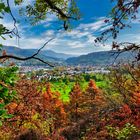 Blick auf Gernsbach 